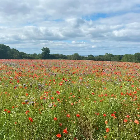Neues An Der Ostsee+terrasse+sauna