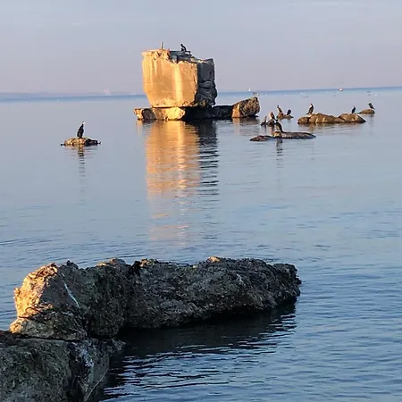 Neues An Der Ostsee+terrasse+sauna Surendorf