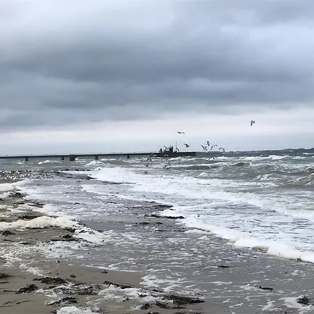 Neues An Der Ostsee+terrasse+sauna *